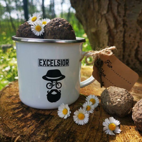 Samenbomben selbst machen - Seedbombs für eine buntere Welt