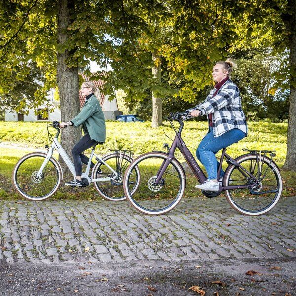 E-Bike Reichweite erhöhen - neun Tipps für längere Fahrradtouren